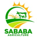 Sababa Logo